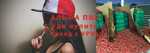 гашик Алексеевка