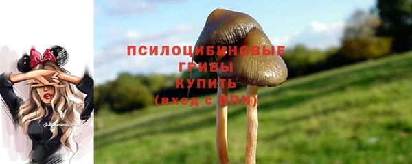 кристаллы Алзамай