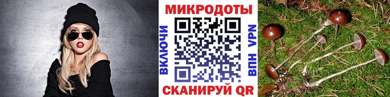 Псилоцибиновые грибы ЛСД где найти наркотики Дзержинский
