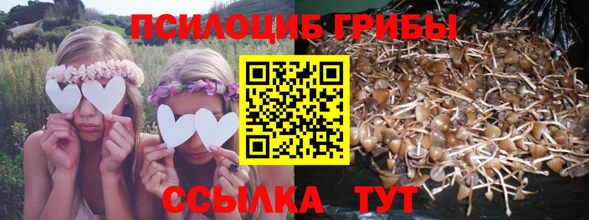 Галлюциногенные грибы Magic Shrooms Дзержинский
